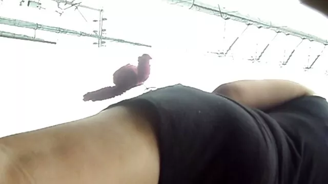 Zwei alte eroticfilme Freunde ficken junge Studentin